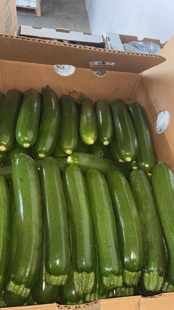 Zucchini