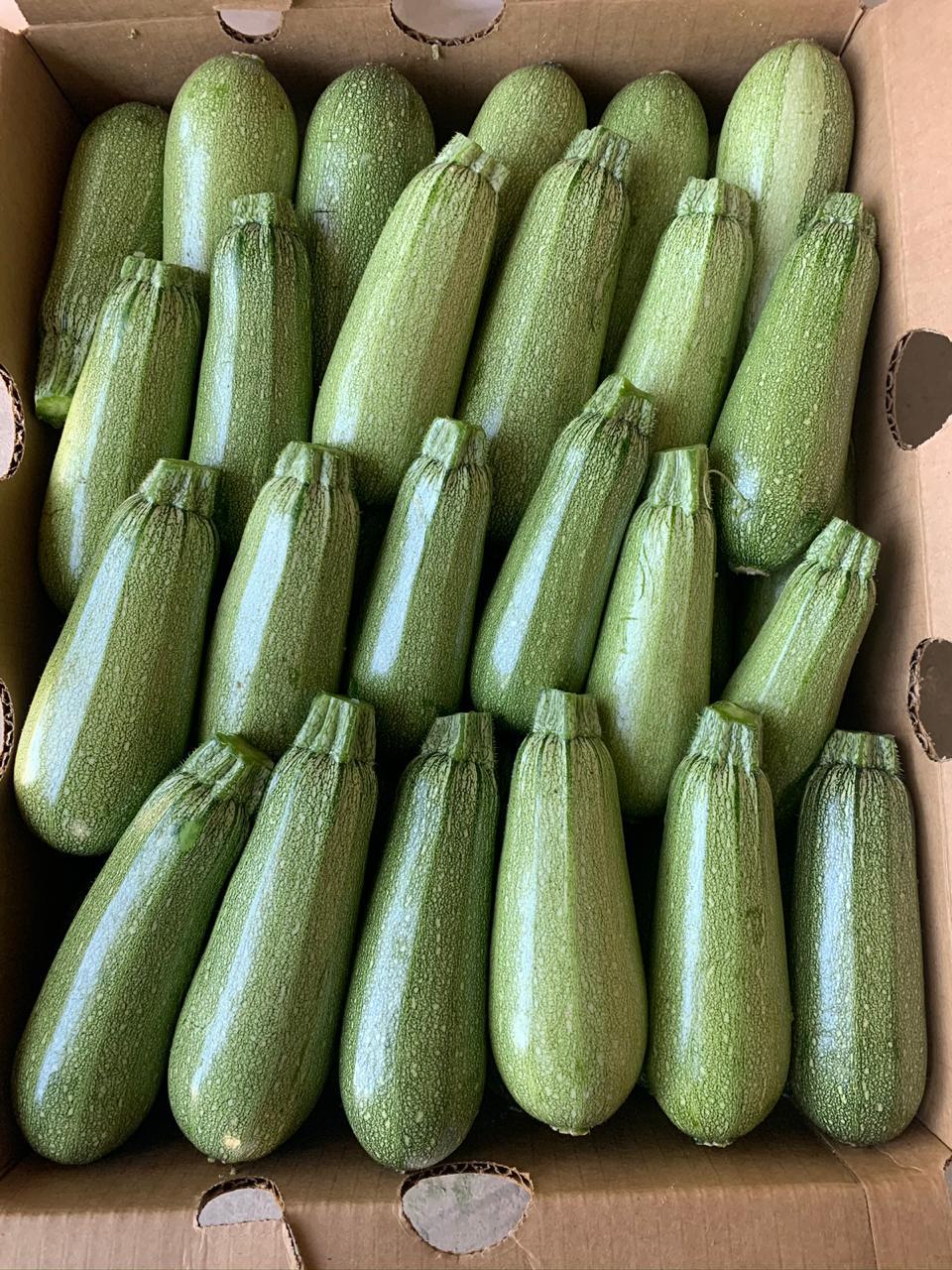 Mexican Squash